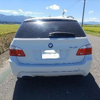 H19 BMW E61後期 525i ツーリング　Mスポーツの画像
