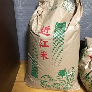 商談中　令和2年　お米　きぬひかり30キロの画像