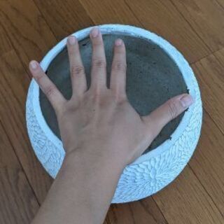 【取引予定】植木鉢の画像
