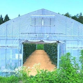 給与の前払いが可能 / You can have your sa...