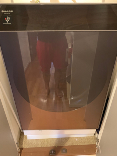 SHARP ドラム式電気洗濯乾燥機　ES-G110 2017年製