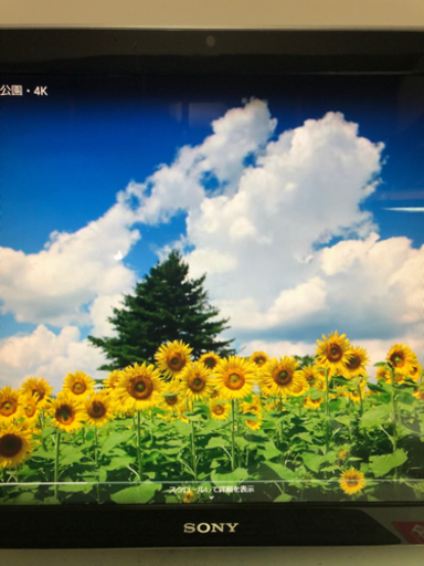 横幅58センチソニー大画面パソコン