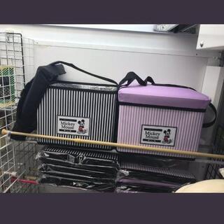 バラ売りOK　2種セット ディズニー　保冷温スツール