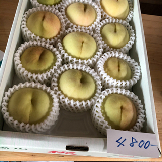品種:せとうち白桃