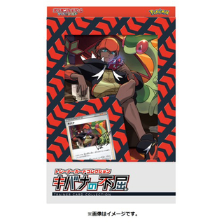 ポケモンカード　キバナの不屈　交換希望