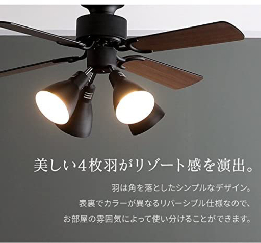 ツーリングファン