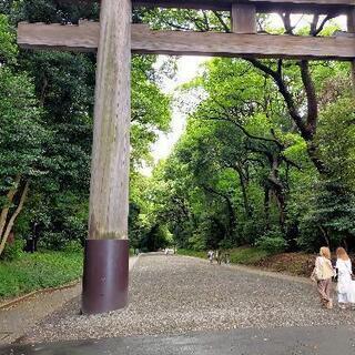 都内お散歩コース一緒に歩きませんか - 小金井市