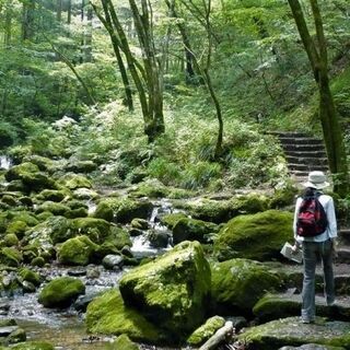 【山歩きのススメ】首都圏近郊で登山を楽しみませんか - 千代田区