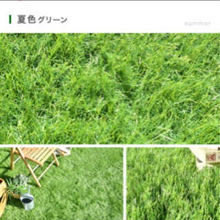 決まりました　人工芝1m✖️約2m