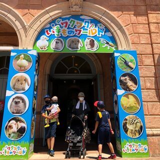 【社員登用アリ】☆和歌山マリーナシティ　『いきものワールド』キャスト☆の画像