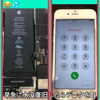 iPhone8が海に水没(ﾟдﾟ)！なんとかデータを取り出したい！！！
