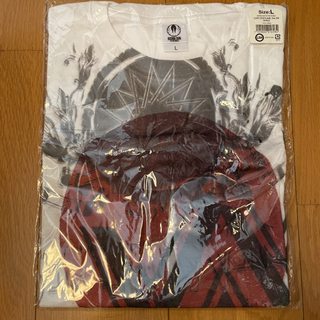 EXILE RISINGSUN Tシャツ　新品の画像