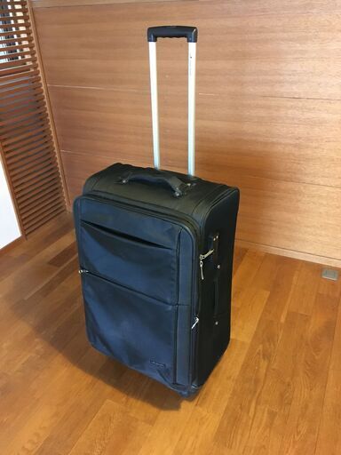 キャリーバック大型