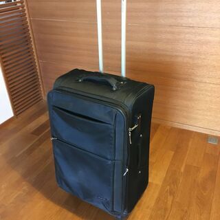 キャリーバック大型