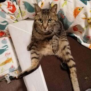 里親様がきまりました