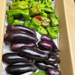 農薬、化学肥料不使用の野菜です。