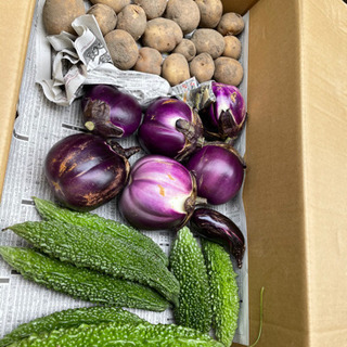 農薬、化学肥料不使用の野菜です。の画像