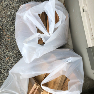 木炭　お話中の画像