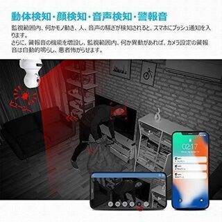ネットワークカメラ(IP監視防犯カメラ)の画像