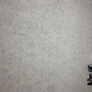 カーペット4.5帖