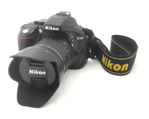 その他 9010 nikon D5300+AF-P 18-55mm 1:3.5-5.6