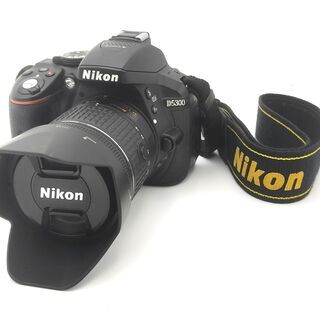 9010 nikon D5300+AF-P 18-55mm 1:...