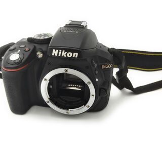 9010 nikon D5300+AF-P 18-55mm 1:3.5-5.6の画像