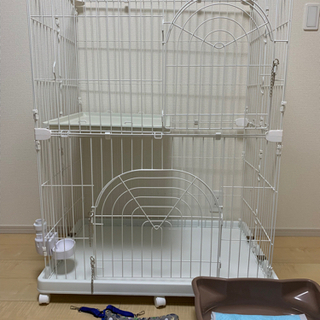 取引決定🐱キャットケージ