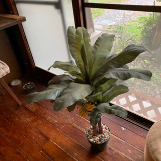 バナナの木　観葉植物　フェイクグリーン　差し上げますの画像