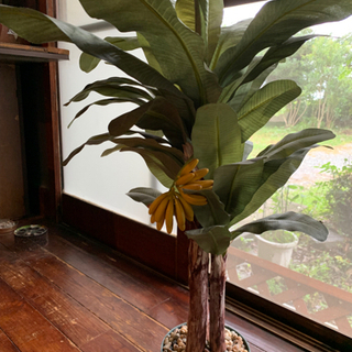 バナナの木　観葉植物　フェイクグリーン　差し上げます
