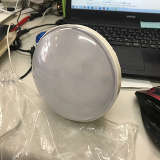 でっかい電球です。TEN-SL-25W