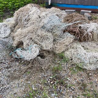 網　ノリ網　きゅうり　イノシシ　塀　柵　野生動物除け　あみ　アミ