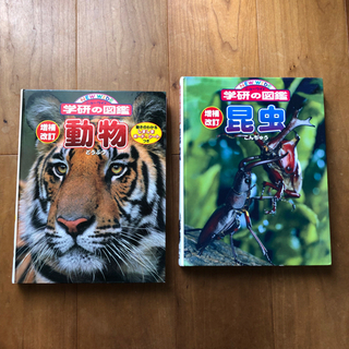 学研の図鑑 動物と昆虫