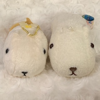 ◼️募集中◼️ カピバラさん マスコット ぬいぐるみ