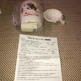 アロマコンセントランプ  リサとガスパールの画像