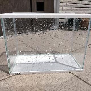 GEX 水槽 清掃済 横31.5cm 平日受け渡し可能