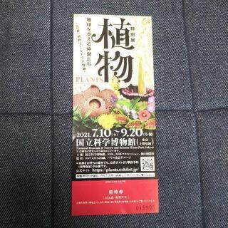 (お話し中)国立科学博物館 チケット１枚