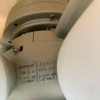 シーリングファンの画像