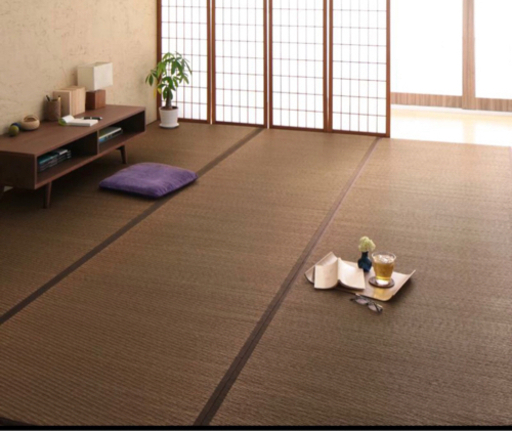 い草　6畳　畳　ブラウン　抗菌タイプ　敷物