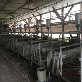 鉄クズ等にいかがでしょう？の画像