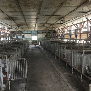 鉄クズ等にいかがでしょう？の画像