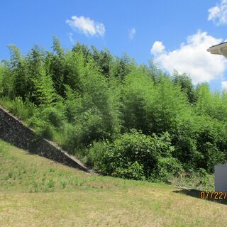 売地559志摩市阿児町鵜方400万円481坪鵜方小学校近くの高台山林です。某団地の南側です - 志摩市