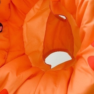 フィッシャープライス レインフォレスト ジャンパルーII の画像