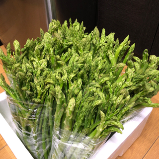 野菜　ふぞろい　アスパラ　1束10本位