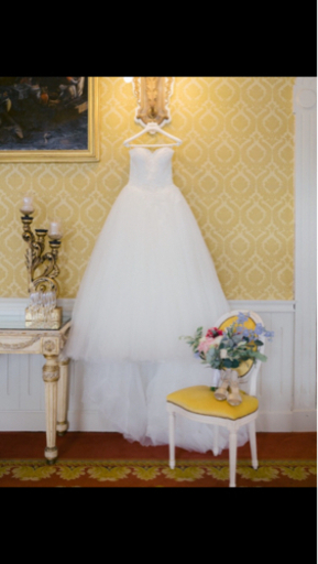 プロノビアス PRONOVIAS ウェディングドレス