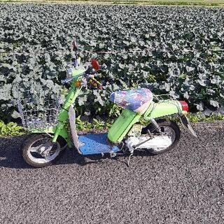ヤマハパッソル　旧車　原チャリ　🛵の画像