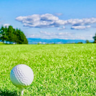 初心者向けゴルフ歓迎❗️❗️