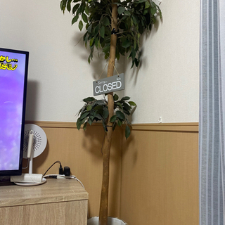 ★決まりました‼︎