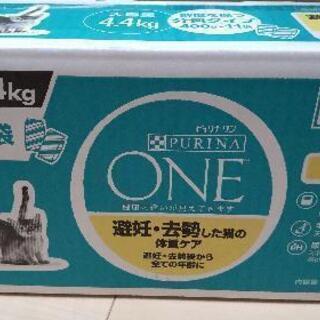 キャットフード　未開封品