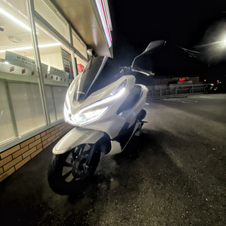 PCX JF81